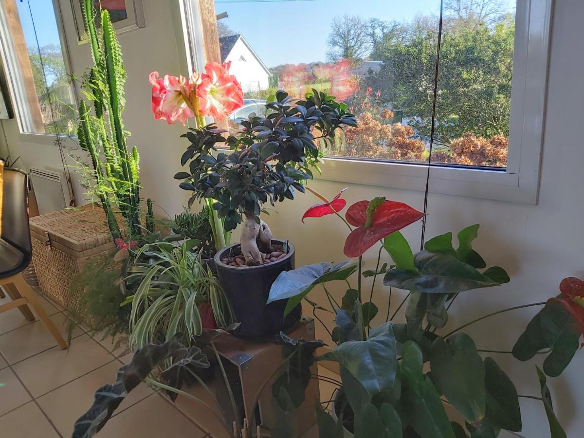 앙봉 L'Oustaou Du Bodo B&B 외부 사진